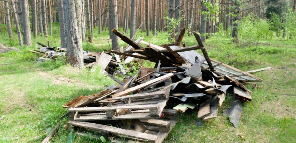 Debris Removal Service in Norristown