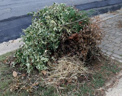 Yard Waste Disposal