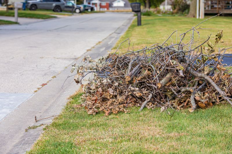 Yard Waste Collection